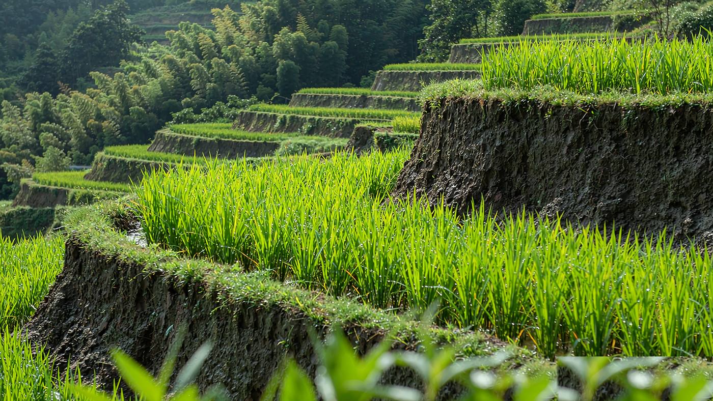 深秋山区的梯田与远处的村落轮廓